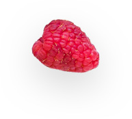 raspberry