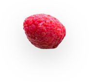 raspberry